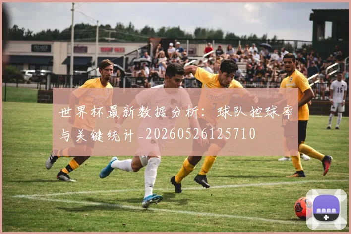 世界杯最新数据分析:球队控球率与关键统计_20260526125710